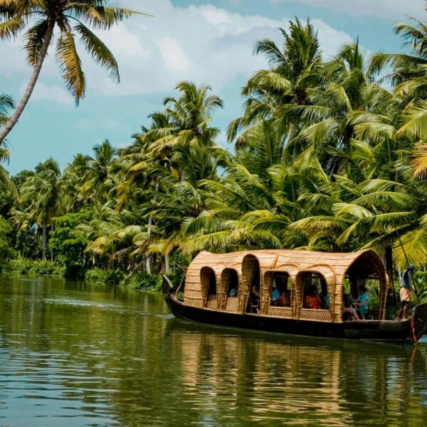 "Tea, Tigers & Tranquility – Explore Munnar, Thekkady & Alleppey"
