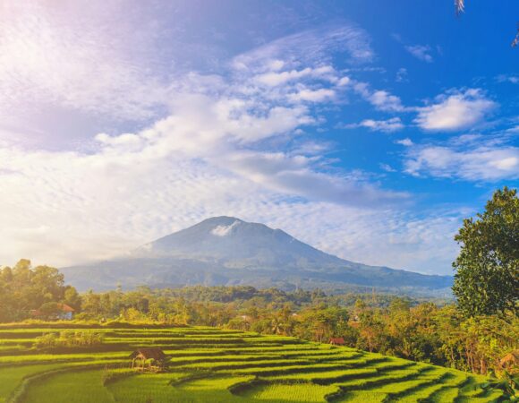 “Bond Beyond Beaches – A Family Journey to Bali”