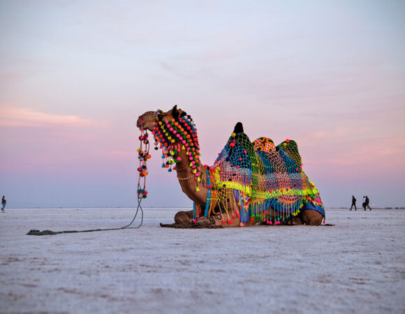 Rann Utsav – A Celebration of Culture in the White Desert