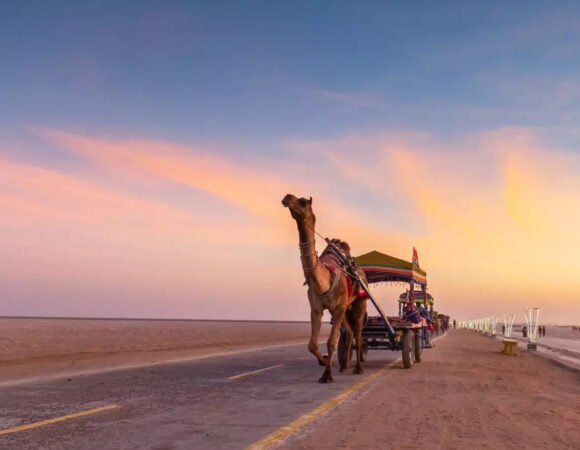 Rann Utsav –  Experience Magical White Desert
