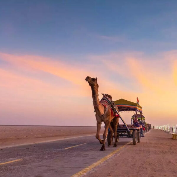 Rann Utsav –  Experience Magical White Desert