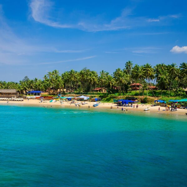 Tropical Bliss: Your Perfect Goa Escape