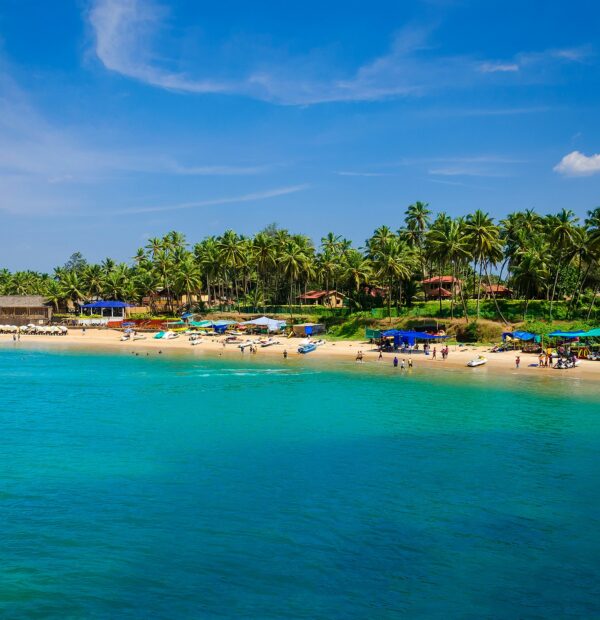 Tropical Bliss: Your Perfect Goa Escape