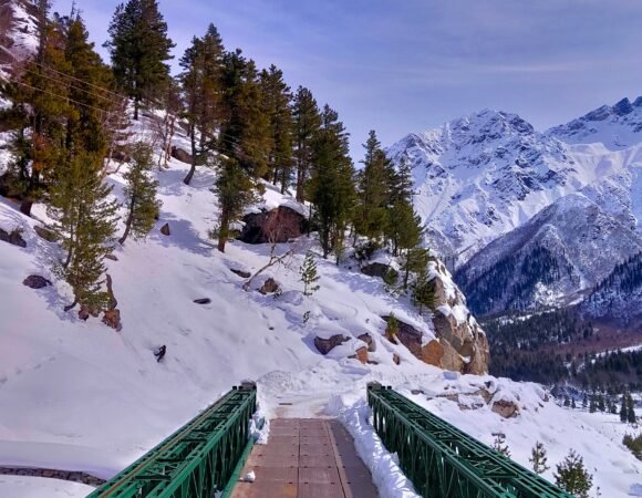 Kashmir 7-8 Days Tour Package For 30 Adults