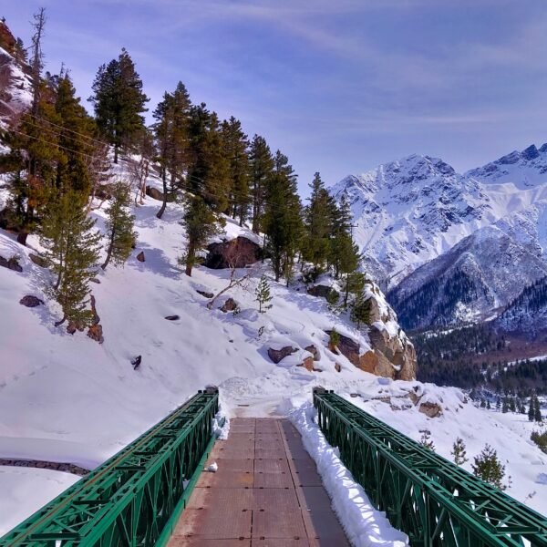 Kashmir 7-8 Days Tour Package For 30 Adults
