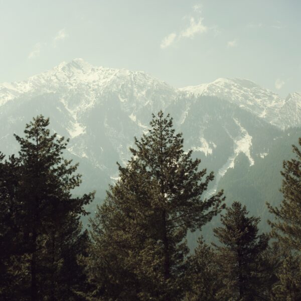 11 Nights 12 Days Kashmir Tour