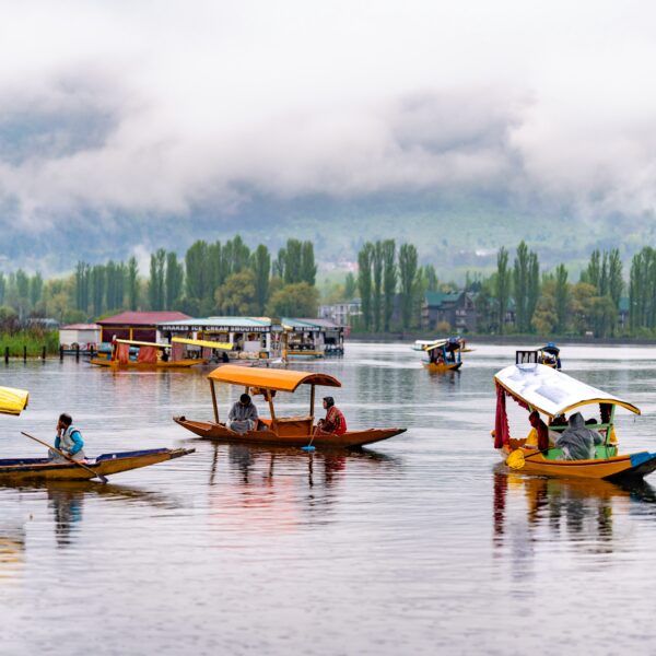 7 Nights 8 Days Kashmir Tour